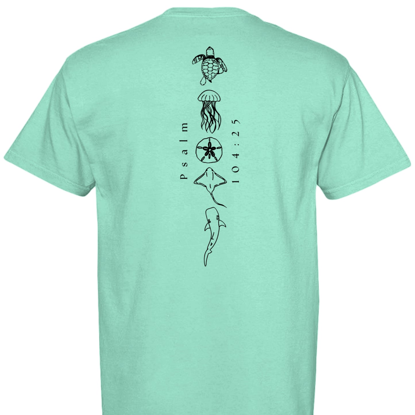 ISLAND REEF - BACK
