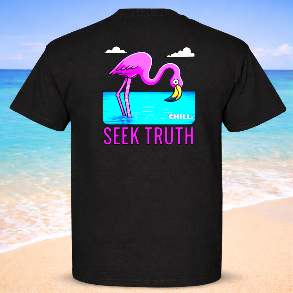 Christian Flamingo Faith Matthew 6:26 "Chill" "Seek Truth" Comfort Colors Tee