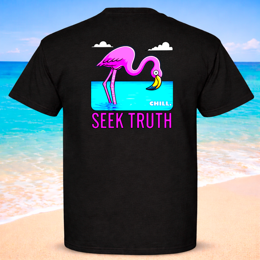 Christian Flamingo Faith Matthew 6:26 "Chill" "Seek Truth" Comfort Colors Tee