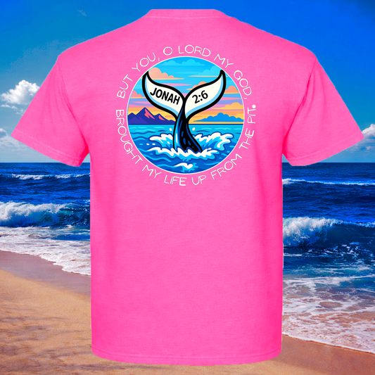 (12) Seek Truth Jonah 2:6 Christian T-Shirt Comfort Colors Short Sleeve Tee