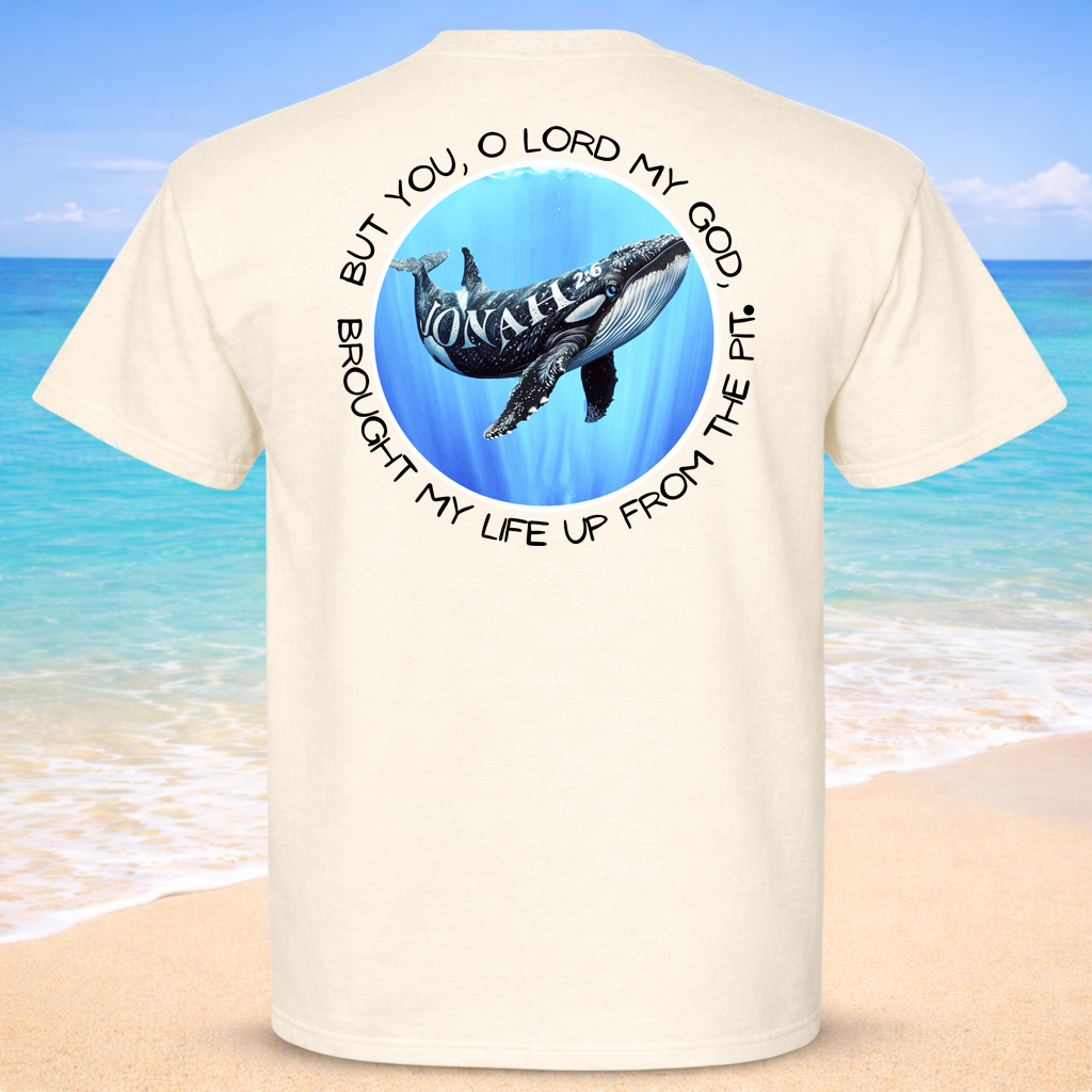 (13) Seek Truth Jonah 2:6 Christian T-Shirt Comfort Colors Short Sleeve Tee