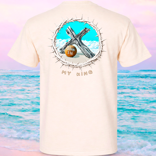 (19) Seek Truth John 3:16 Beach Christian T-Shirt Comfort Colors Short Sleeve Tee