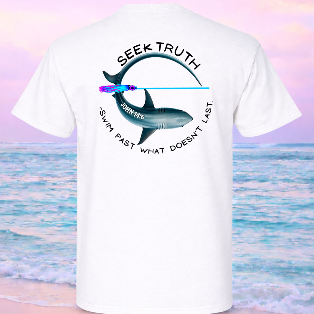 (02) Seek Truth John 14:6 Christian Tee Comfort Colors Short Sleeve Tee