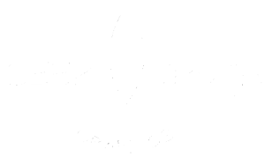 Seek Truth Graphics