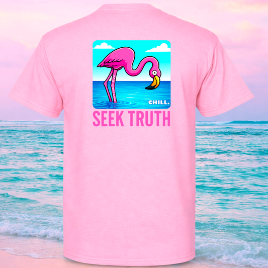 (58) Seek Truth Matthew 6:26 Flamingo Christian T-Shirt Comfort Colors Short Sleeve Tee