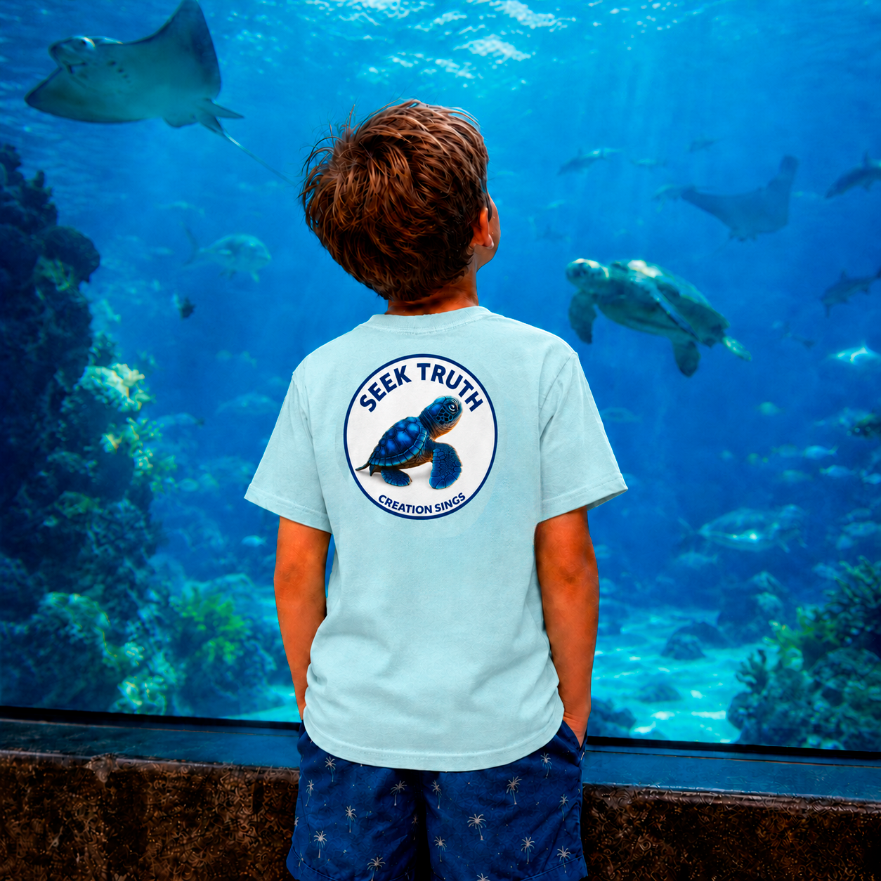 Kids Christian Sea Turtle Hatchling T-Shirt – “Creation Sings” Seek Truth Youth Tee