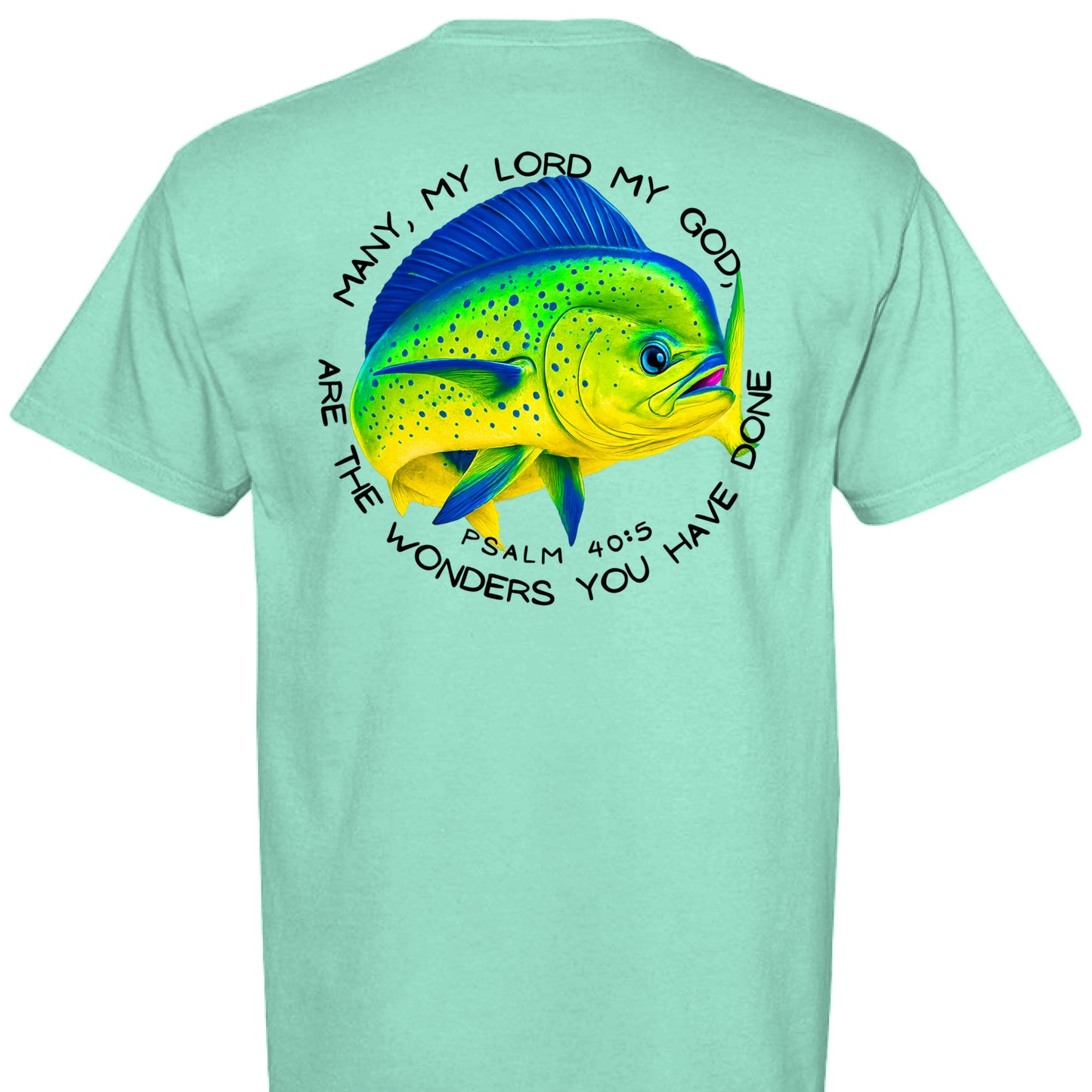 ISLAND REEF - BACK