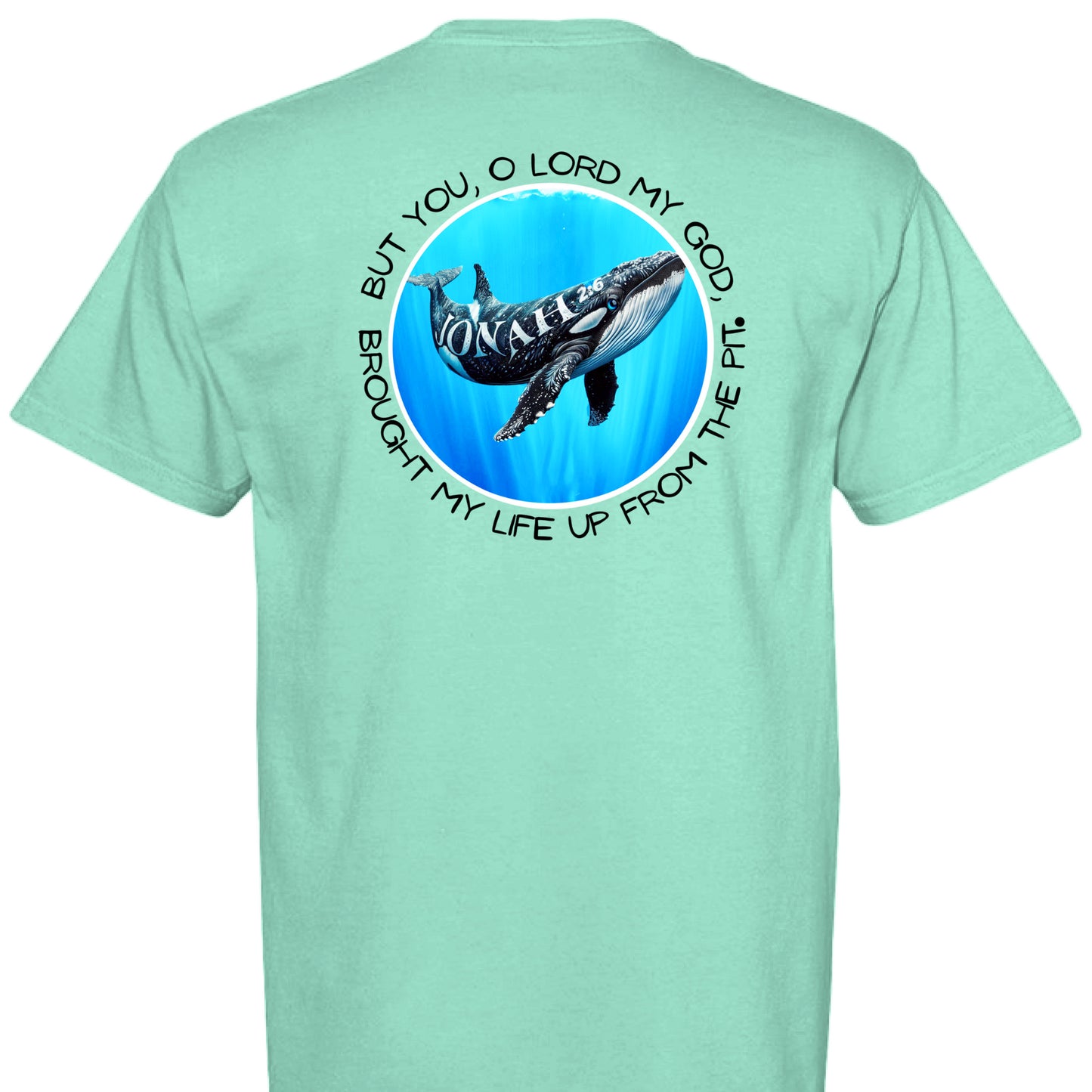 ISLAND REEF - BACK