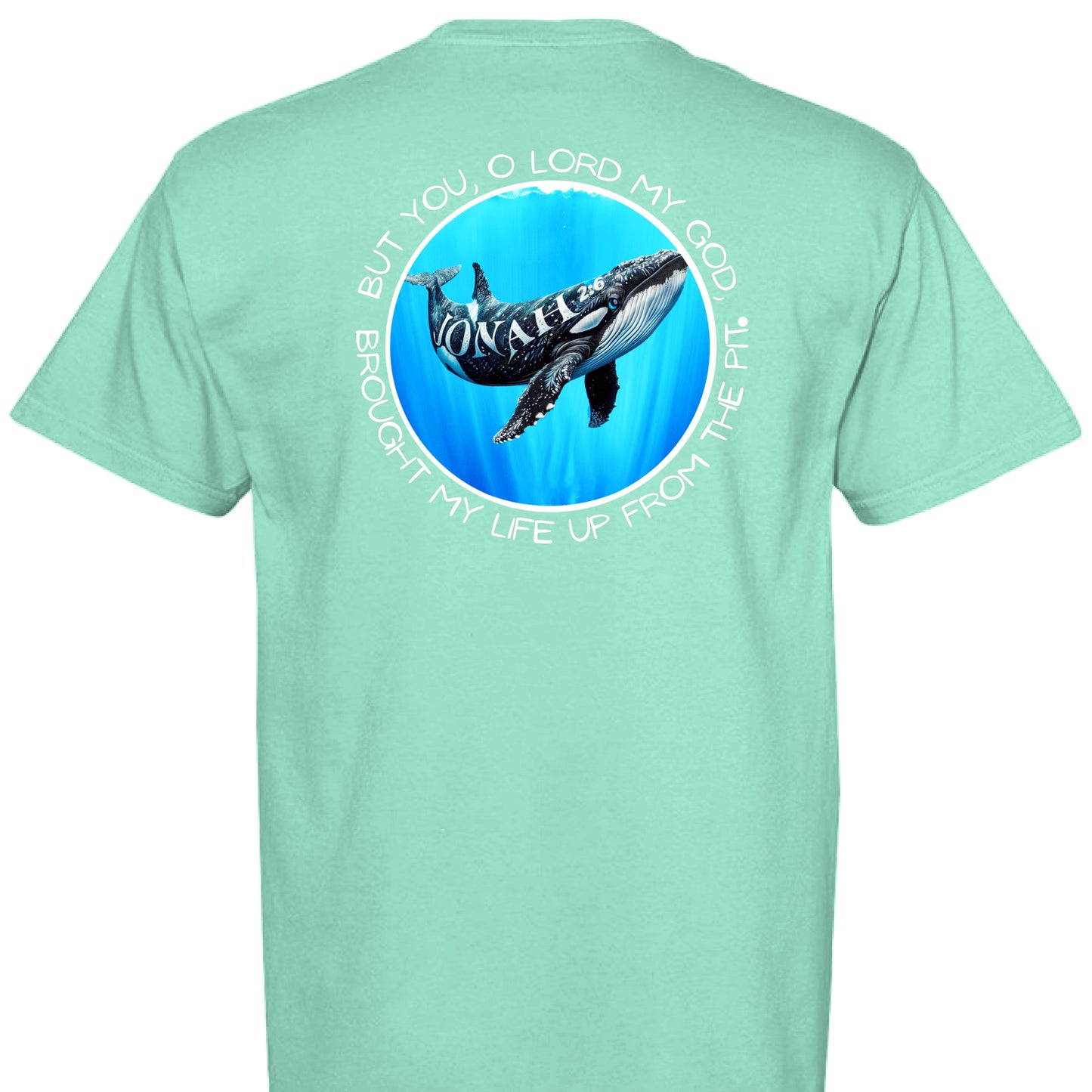 ISLAND REEF - BACK