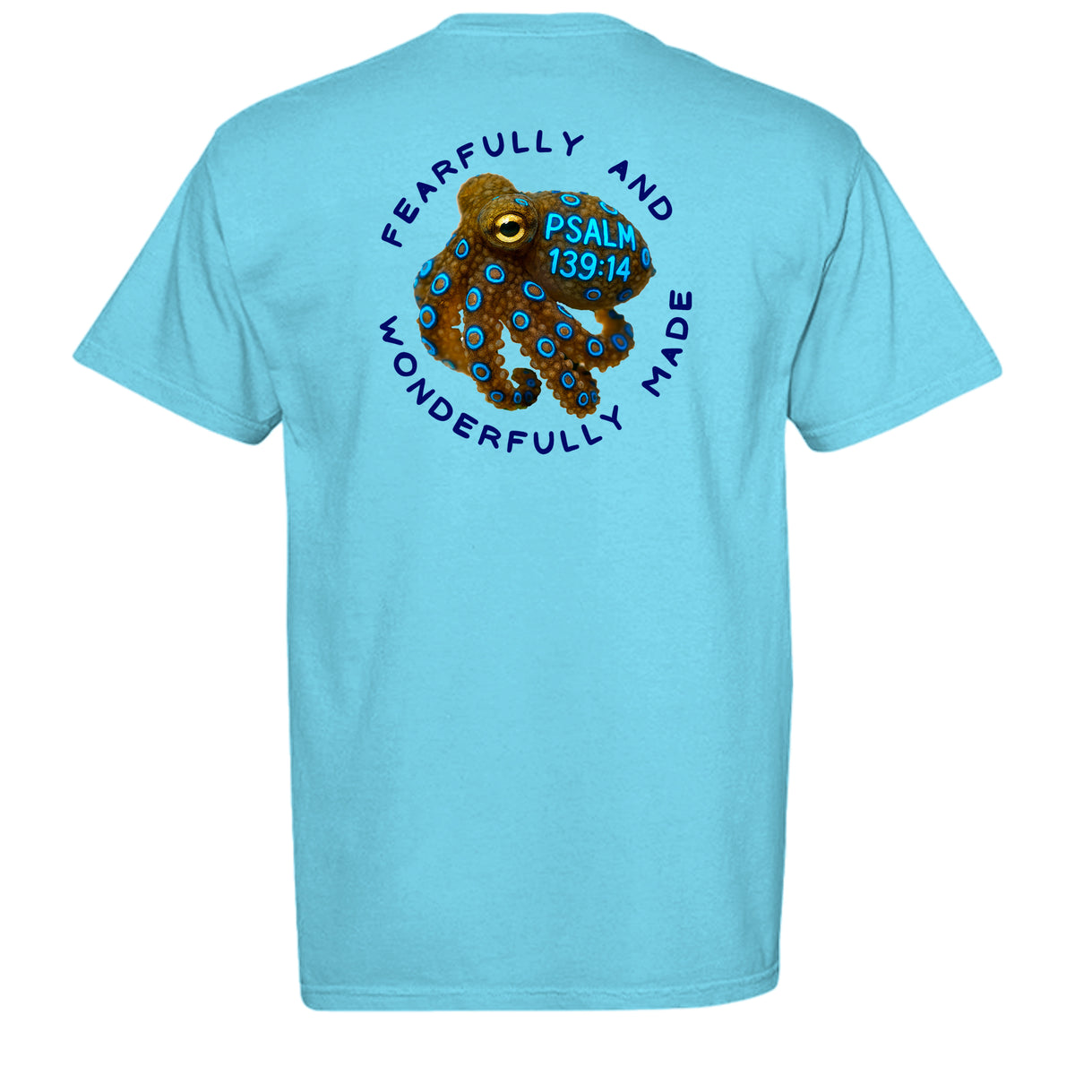 LAGOON BLUE - C1717 - BACK
