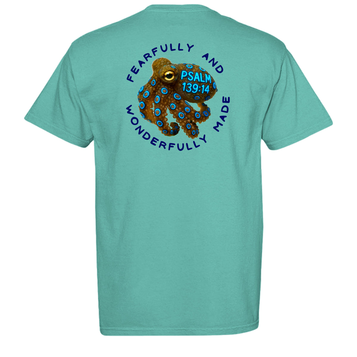ISLAND REEF - C1717 - BACK