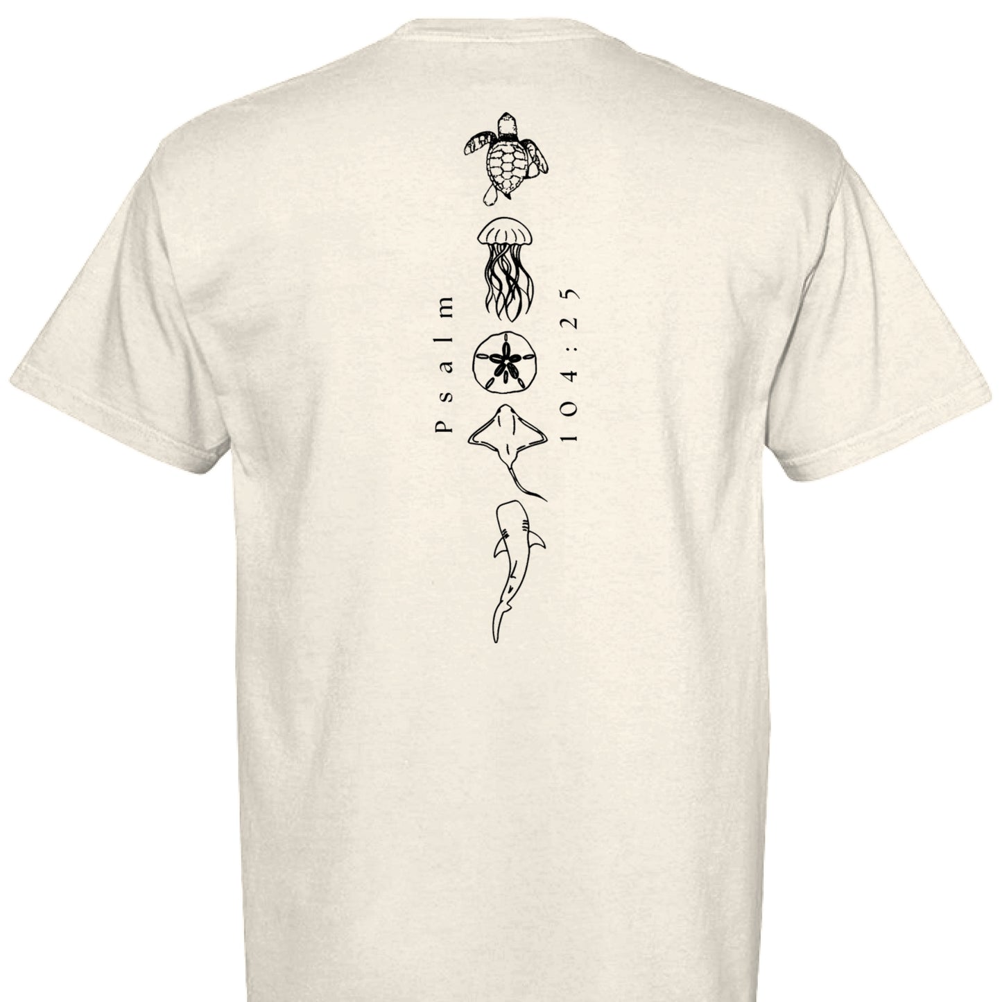 IVORY - BACK