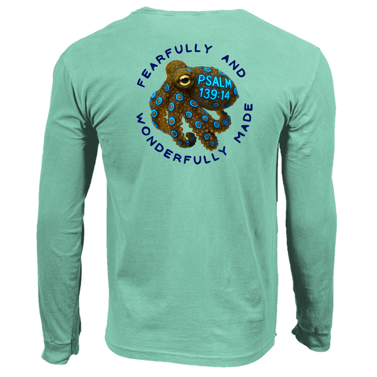 ISLAND REEF - BACK