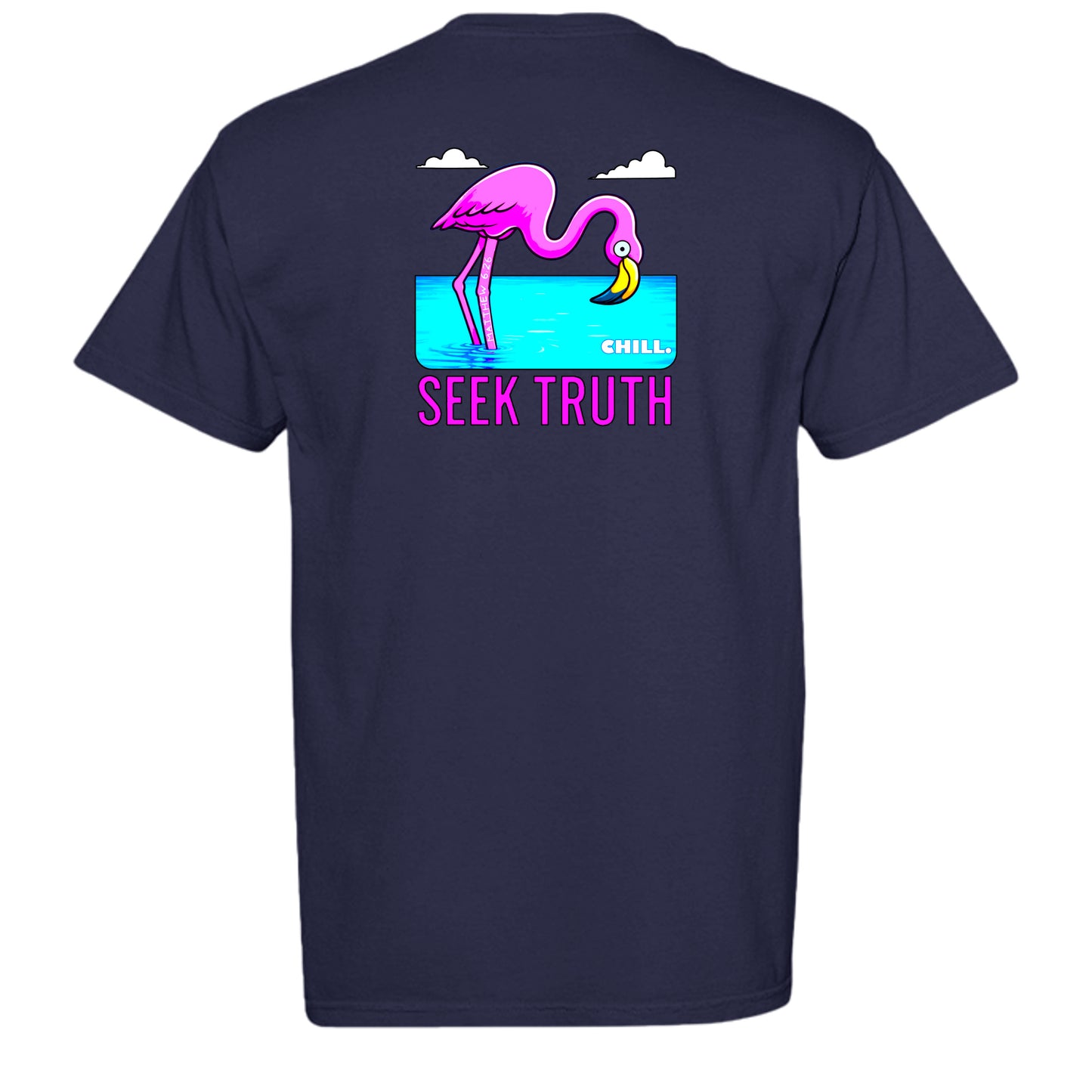 TRUE NAVY - C1717 - BACK