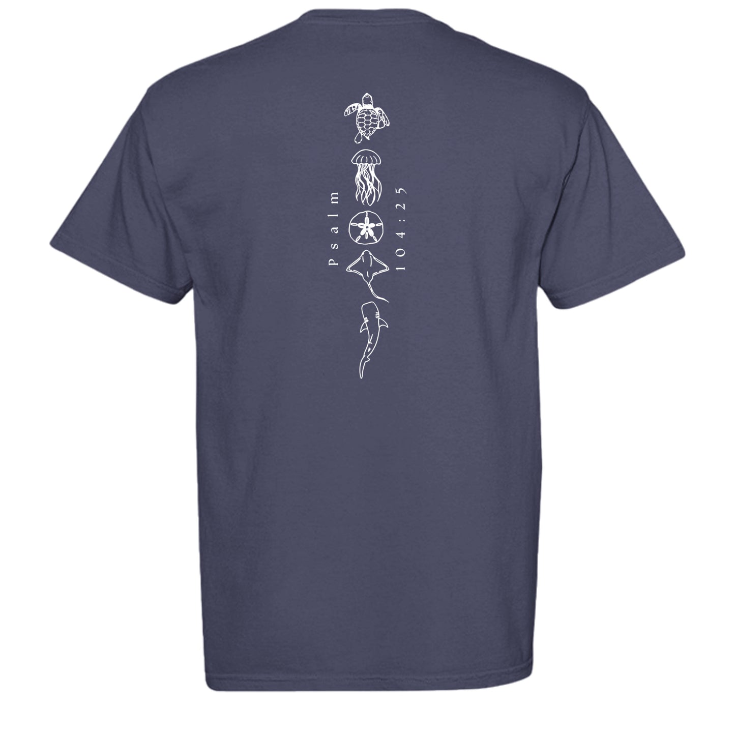 MIDNIGHT - C1717 - BACK